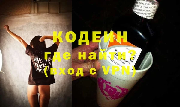 прущие грибы Верея