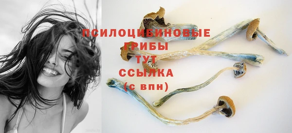 бошки Верхнеуральск