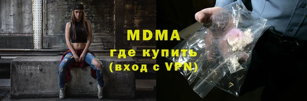 прущие грибы Верея