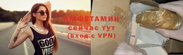 прущие грибы Верея