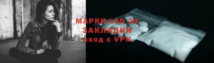 прущие грибы Верея