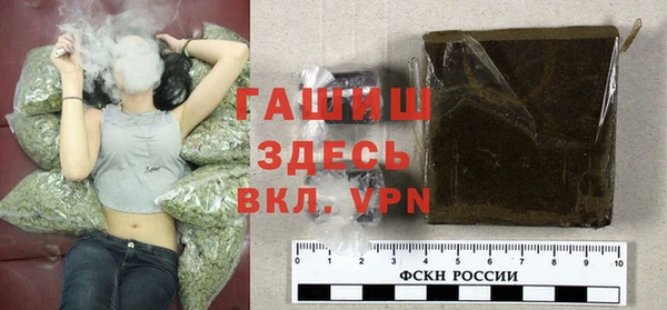прущие грибы Верея