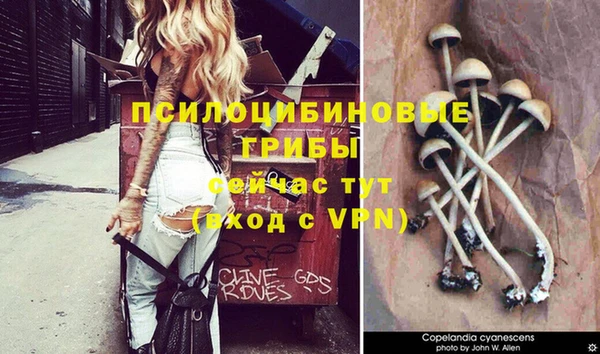 бошки Верхнеуральск
