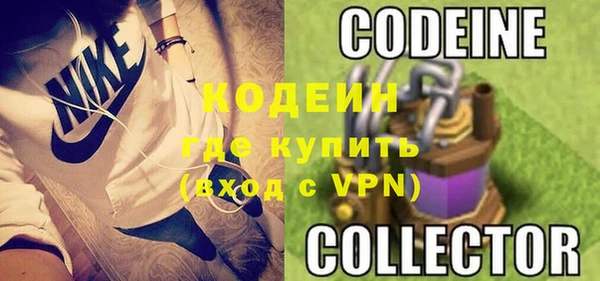 прущие грибы Верея