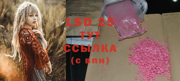 прущие грибы Верея