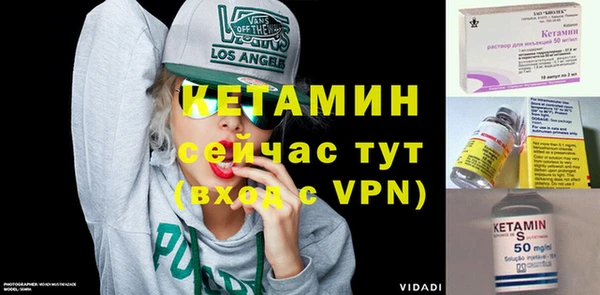 прущие грибы Верея