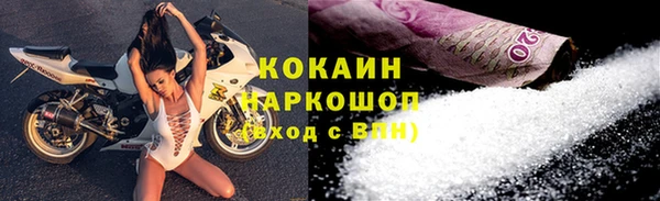 прущие грибы Верея