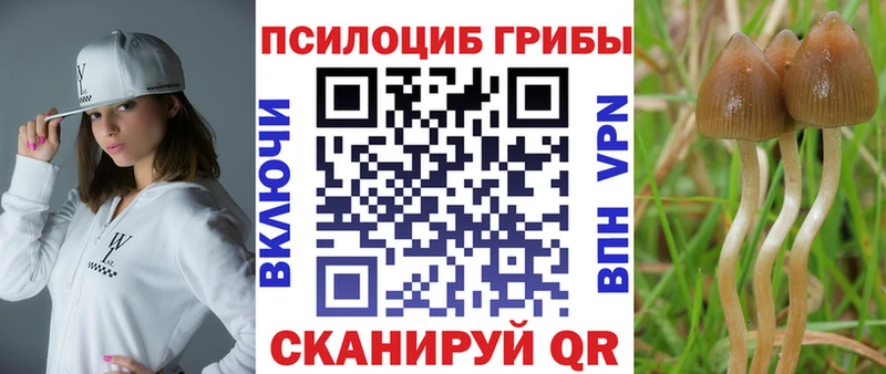 Купить где  Снежинск  Псилоцибиновые грибы ЛСД 